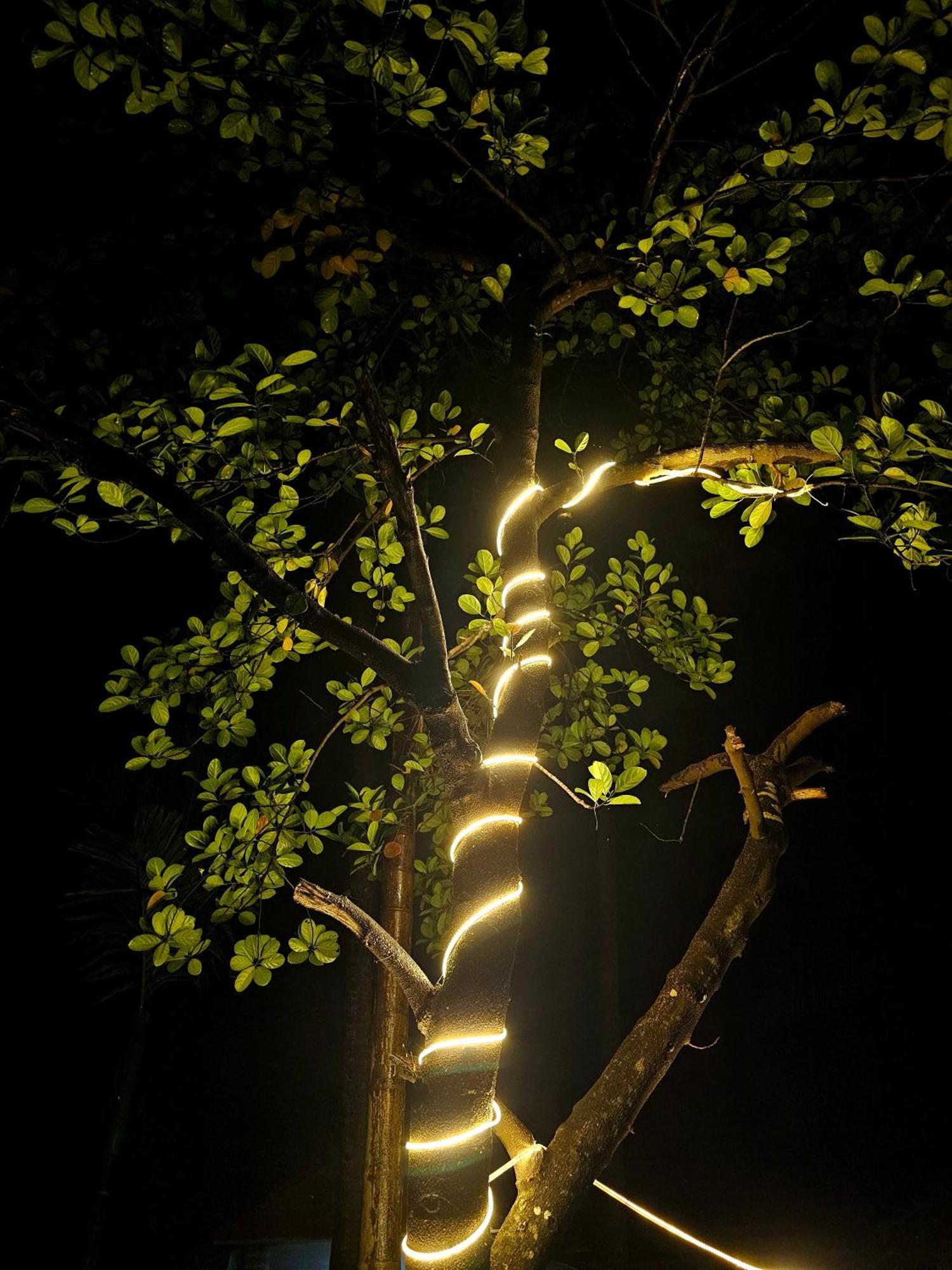 The Beachwalk Stay - Your Pathway To The Beach Gokarna  Zewnętrze zdjęcie